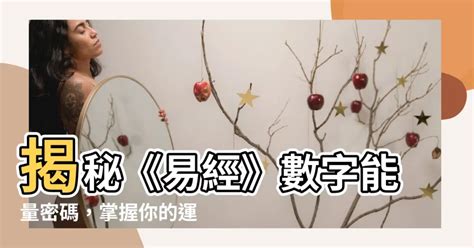 數字磁場算法|數字易經揭密版，一分鐘快速識人術